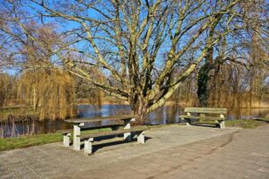 Pretty picnic spot