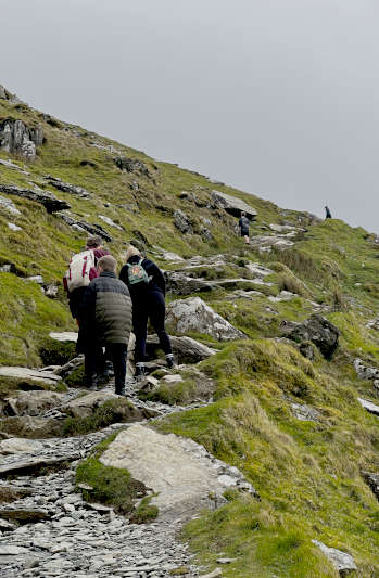 The mental health mountain