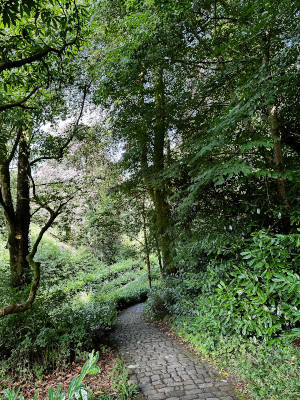 Stourhead walk
