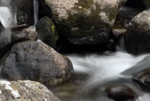 The benefits of being near water