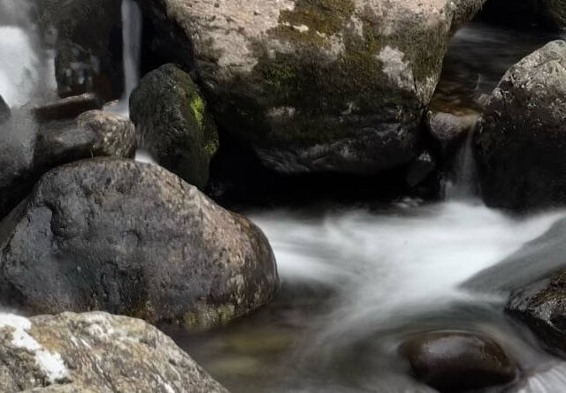 The benefits of being near water