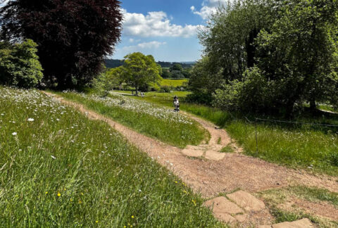 How to switch off in nature