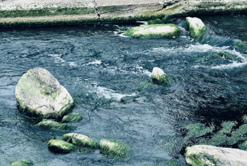 Moving water can reset a stressed mind