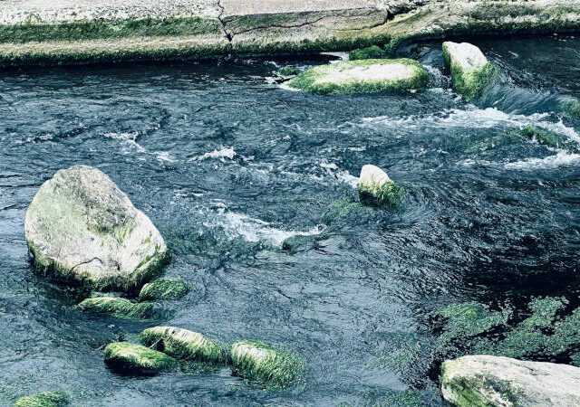 Moving water can reset a stressed mind
