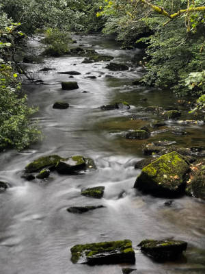 Moving water can reset your stressed mind