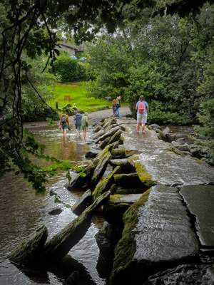 Spring walks in nature