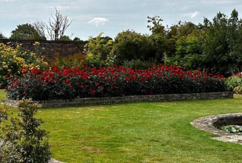 100 green spaces in England that are free to enter