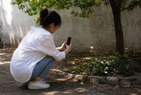 How to practice mindfulness in nature