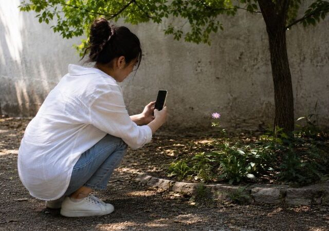 How to practice mindfulness in nature